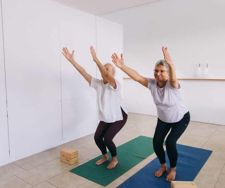 free senior fitness videos